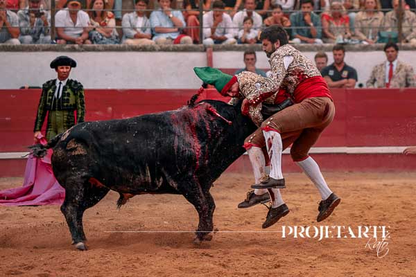 Forcados das Caldas da Rainha