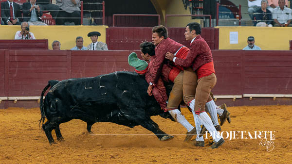 Forcados Amadores de Montemor