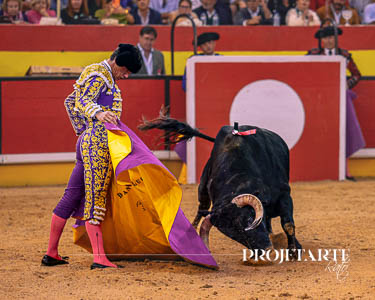Daniel Luque