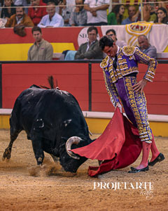 Daniel Luque