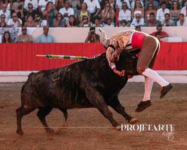Forcados Amadores de Alcochete
