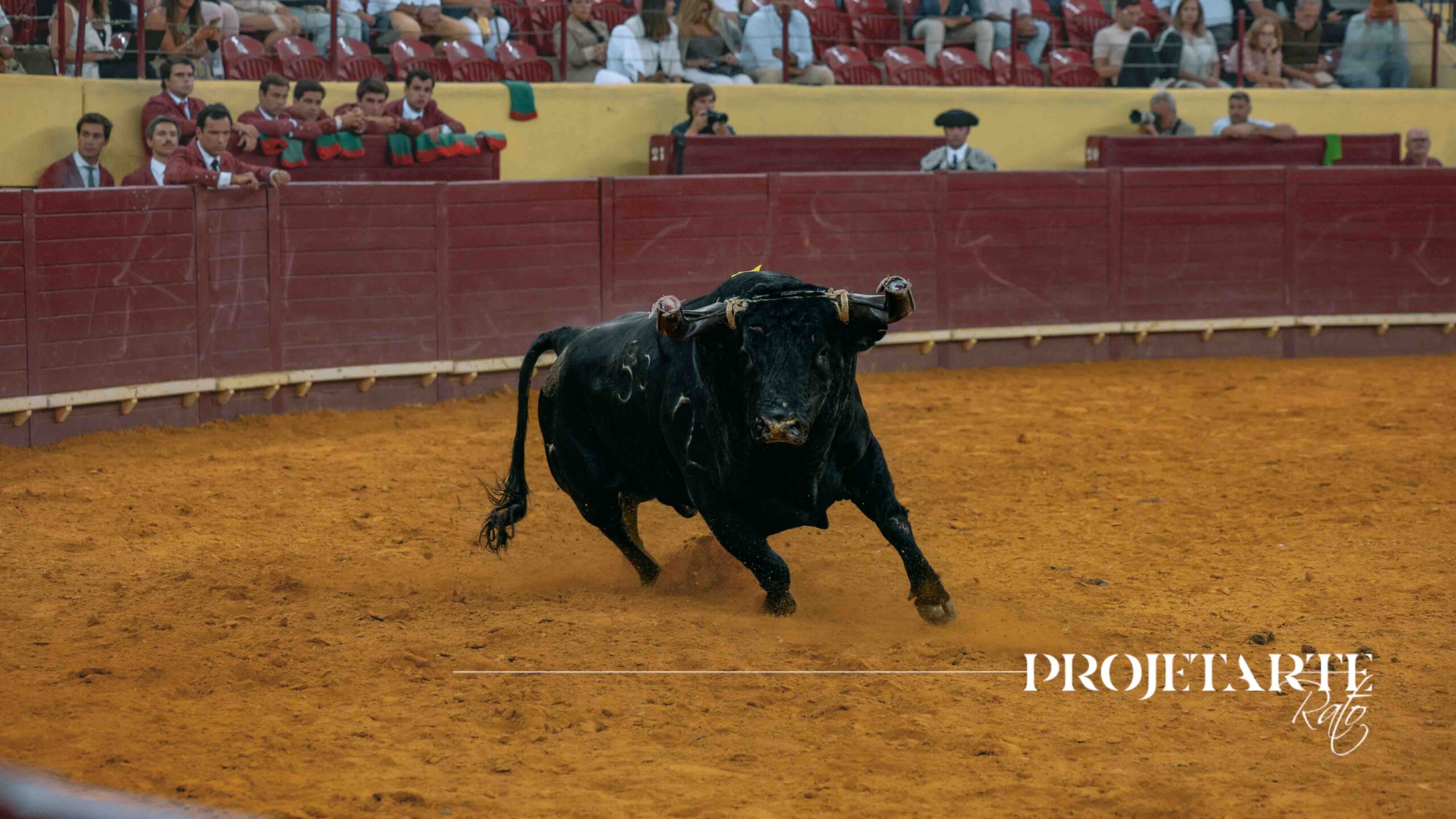 Silvas sem raça comprometem 3ª do abono do Campo Pequeno