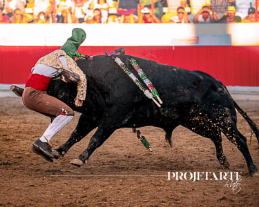Forcados Amadores de Alcochete