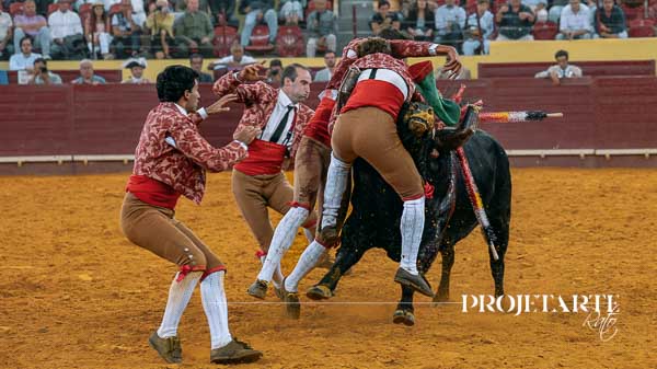 Forcados Amadores de Vila Franca de Xira