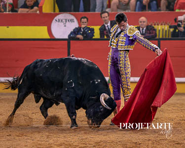Daniel Luque