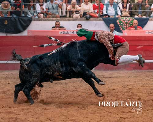 Forcados de Santarém
