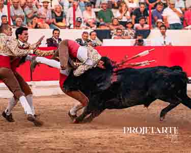 Forcados Amadores de Alcochete