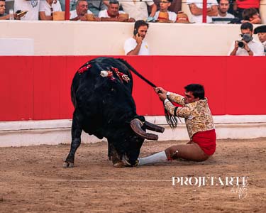 Forcados Amadores de Alcochete