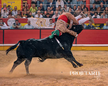Forcados Amadores Santarém