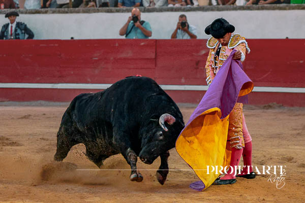 Tomás Bastos