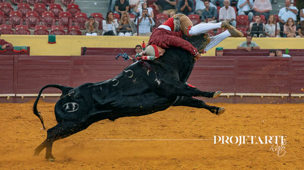 Forcados Amadores de Montemor