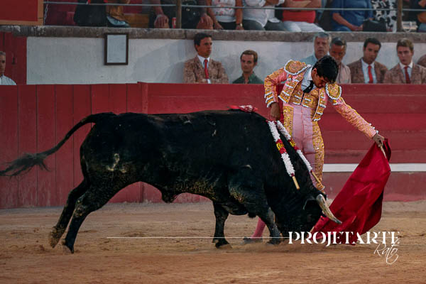 Tomás Bastos