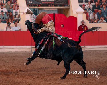Forcados Amadores de Alcochete