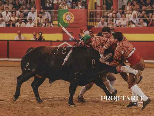 Forcados Amadores de São Manços