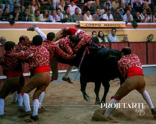 Forcados Amadores de Vila Franca de Xira