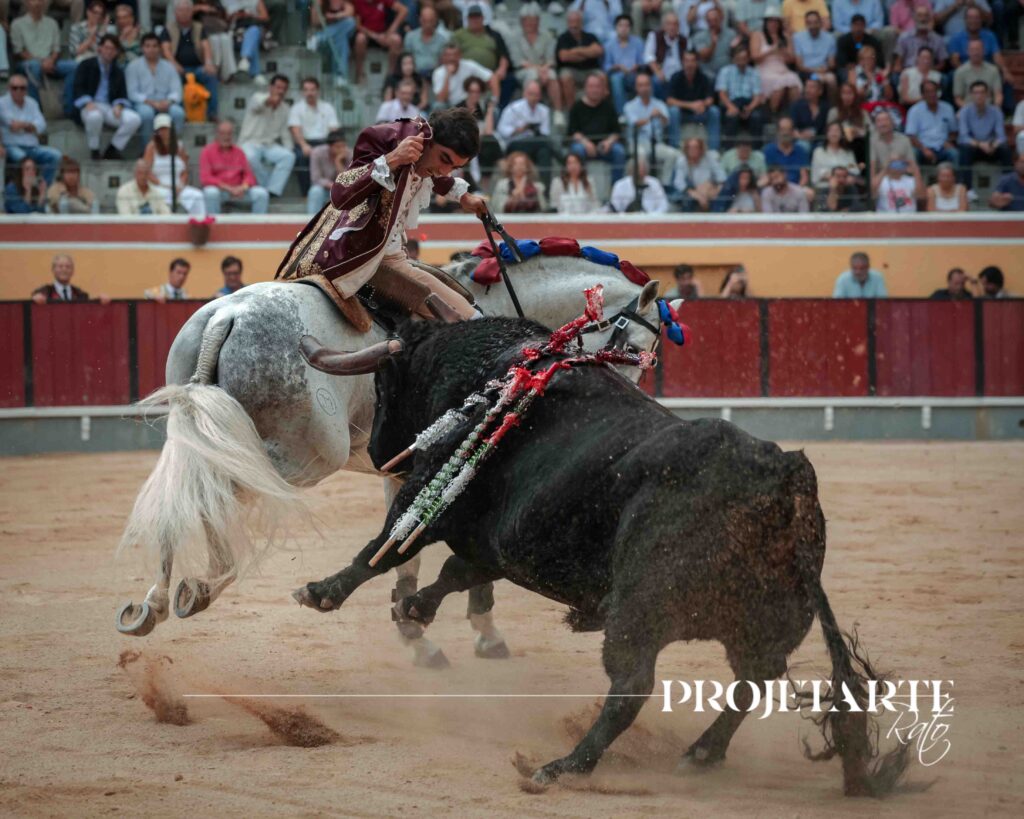 Miguel Moura