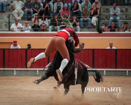 Forcados Amadores de Montemor
