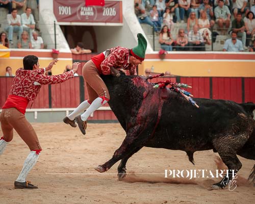 Forcados Amadores de Vila Franca de Xira