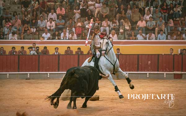 Miguel Moura