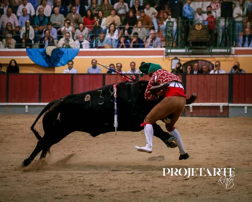 Forcados Amadores de Vila Franca de Xira