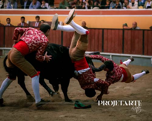 Forcados Amadores de Vila Franca de Xira